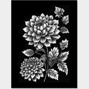 Dahlia Flowers White Drawing Posters and Art
